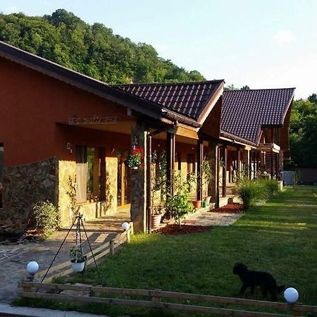 Pensiunea Raiul Muntilor Sebis Exterior photo