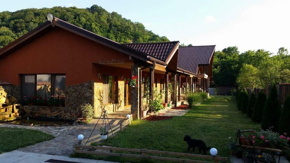 Pensiunea Raiul Muntilor Sebis Exterior photo